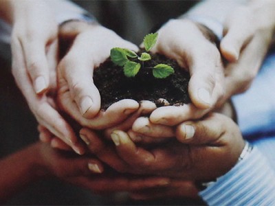 Những bàn tay trong gian khó